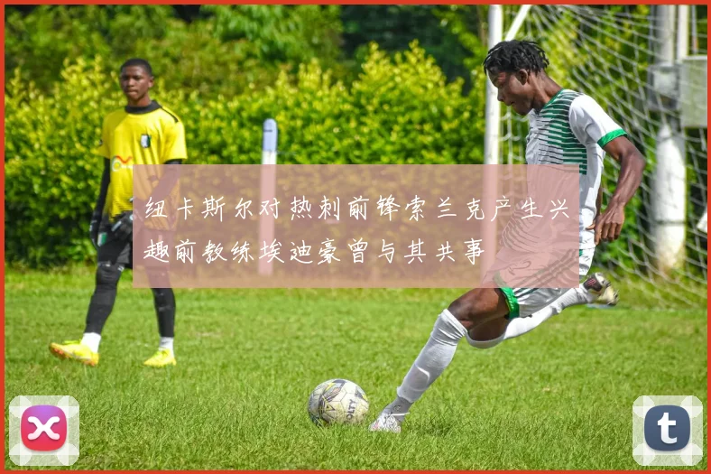 纽卡斯尔对热刺前锋索兰克产生兴趣前教练埃迪豪曾与其共事