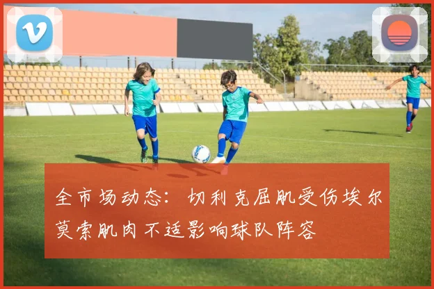 全市场动态：切利克屈肌受伤埃尔莫索肌肉不适影响球队阵容